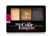 Triumph Тени для век трехцветные тон 312 Золотой смоки CTE22 35 гр