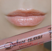 FIRIN �����-������� ��� ��� ������ ������ ��� 322 ���������� ���